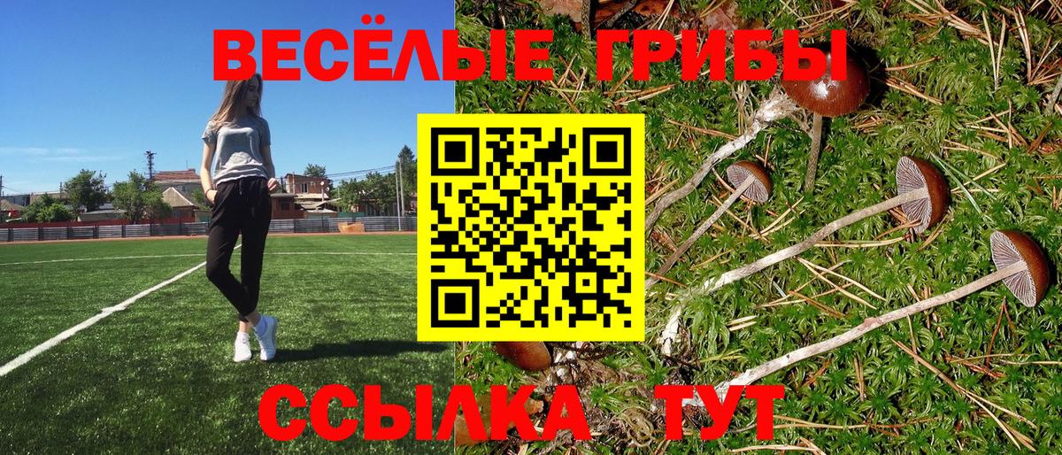 Псилоцибиновые грибы Cubensis  Вход с VPN  Псилоцибиновые грибы Psilocybe  Сосновоборск 