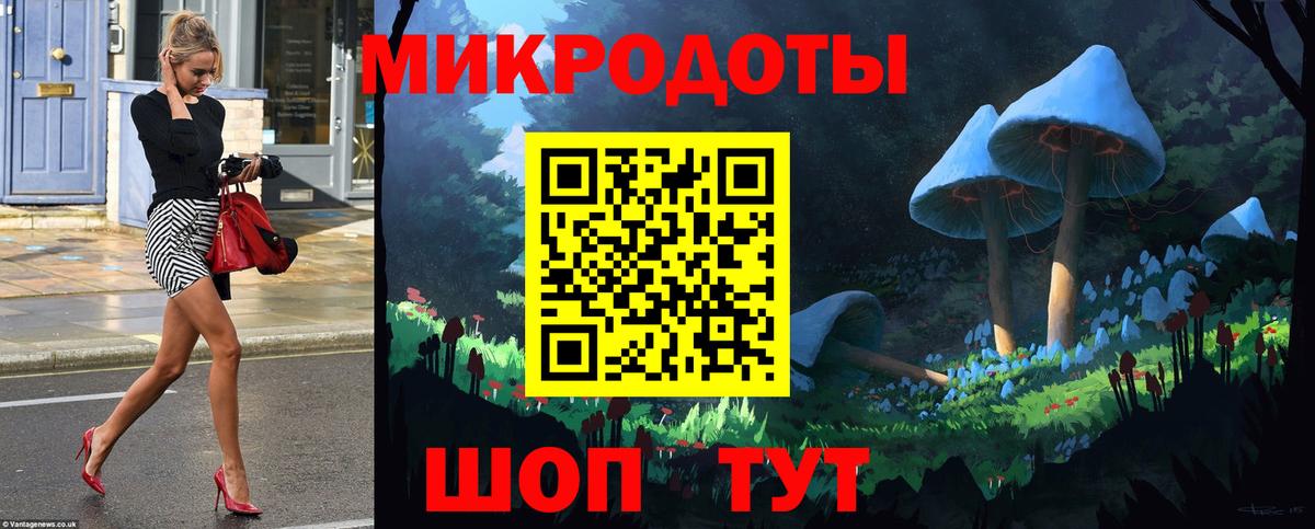 Псилоцибиновые грибы Psilocybe Сосновоборск